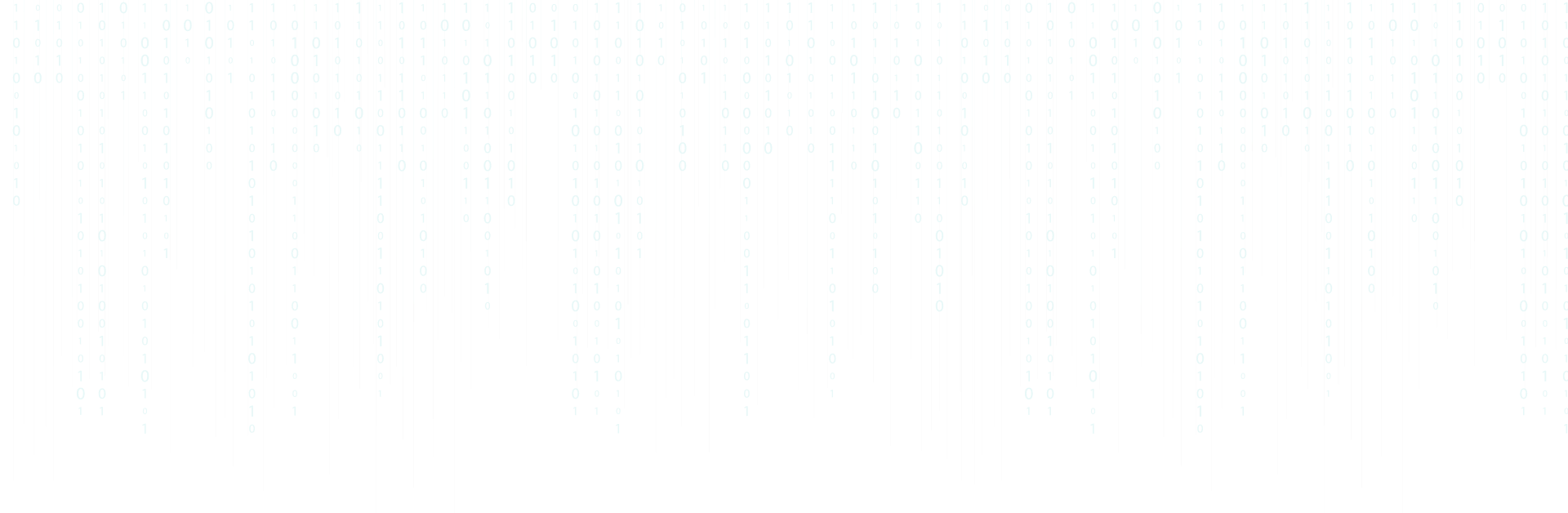 Senior {Full Stack}Web Developer